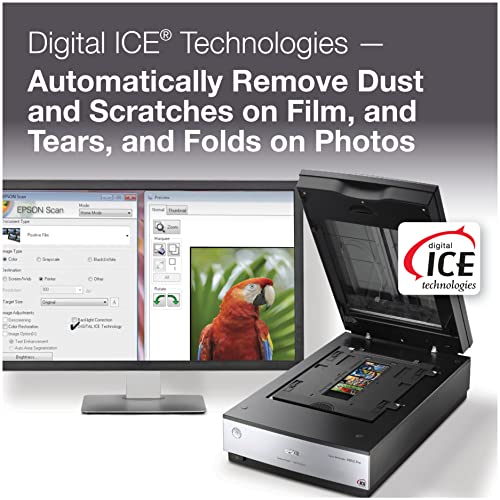 Epson Document Scanner