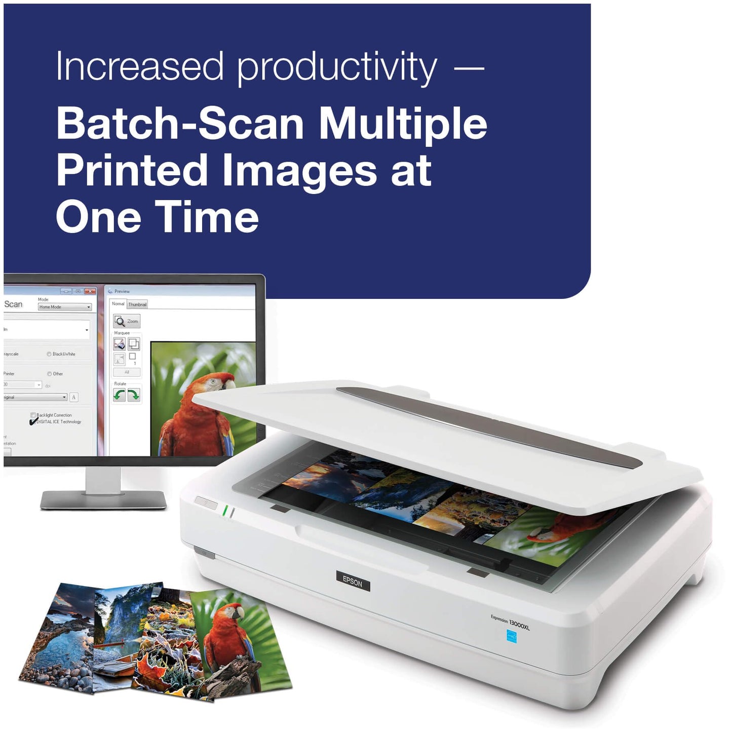 Epson Expression 13000XL Large Format Flatbed Photo Scanner