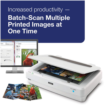 Epson Expression 13000XL Large Format Flatbed Photo Scanner