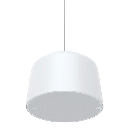 C1510 NTWK Pendant SPK is an AIO SPK SY