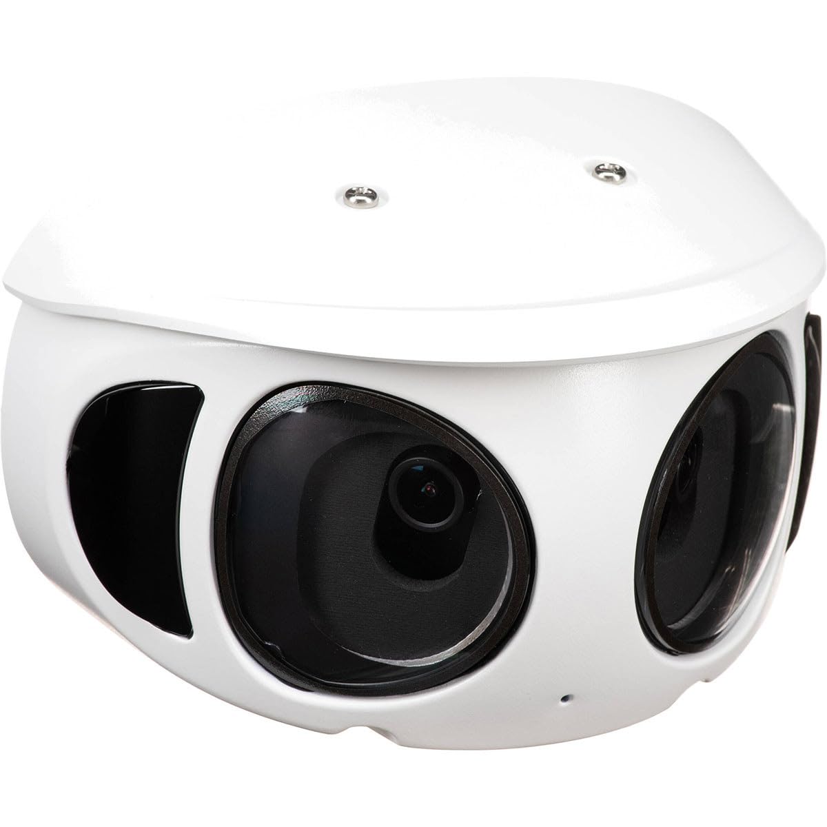 VIVOTEK Panoramic Camera